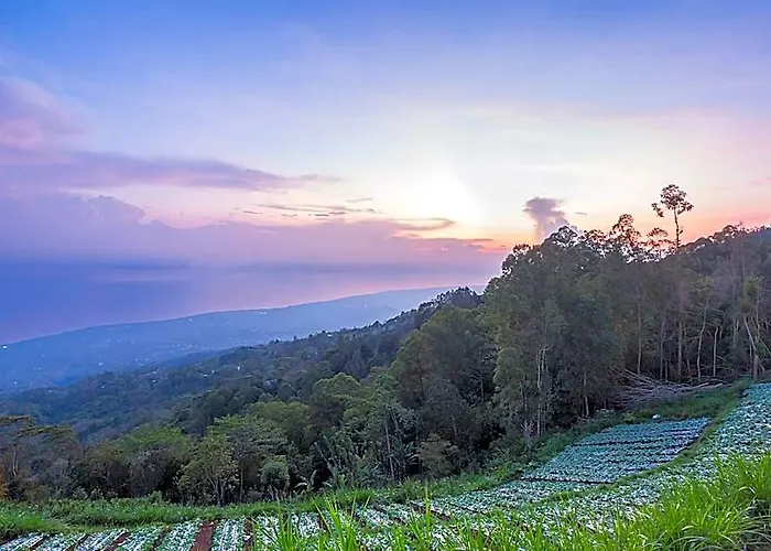 Lodge Alam Nirwana Kintamani
